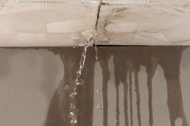 Professional Water Damage Restoration technician working in Plant City, FL